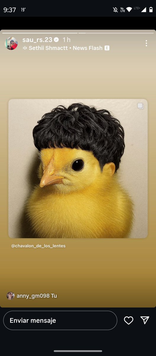 jefferson reyna tweet media