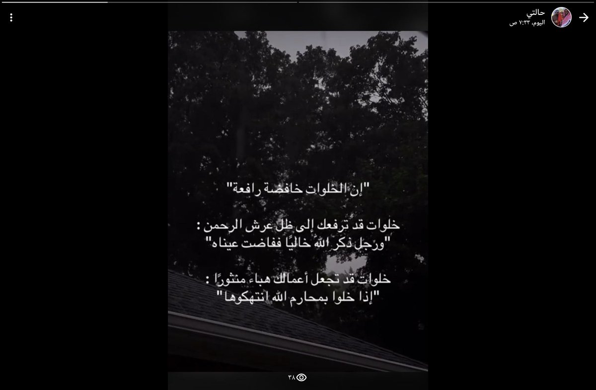 ابوراشد tweet media