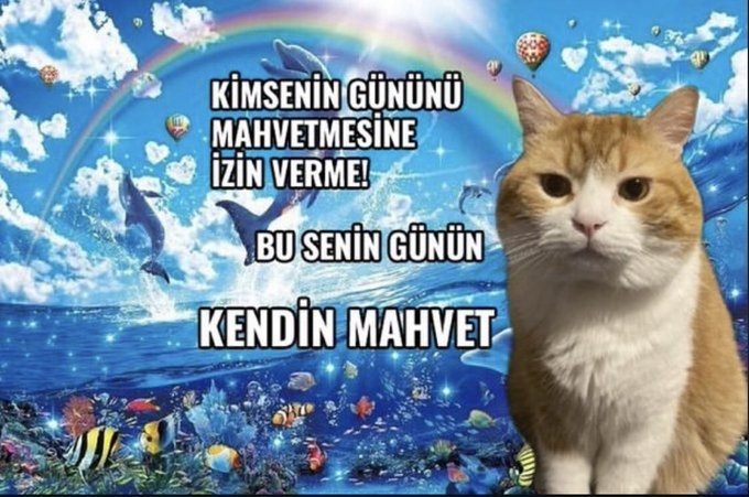 besiktaslikus's tweet photo. iyi geceler https://t.co/H2H4njjyUU
