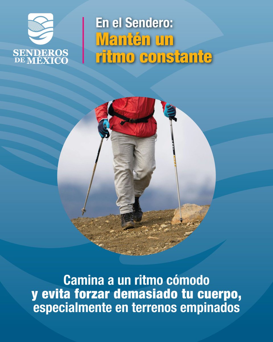 SenderosMx's tweet photo. En el #sendero...
Mantén un #ritmo constante: Camina a un ritmo cómodo y evita forzar demasiado tu cuerpo, especialmente en terrenos empinados. https://t.co/aSENubucNP