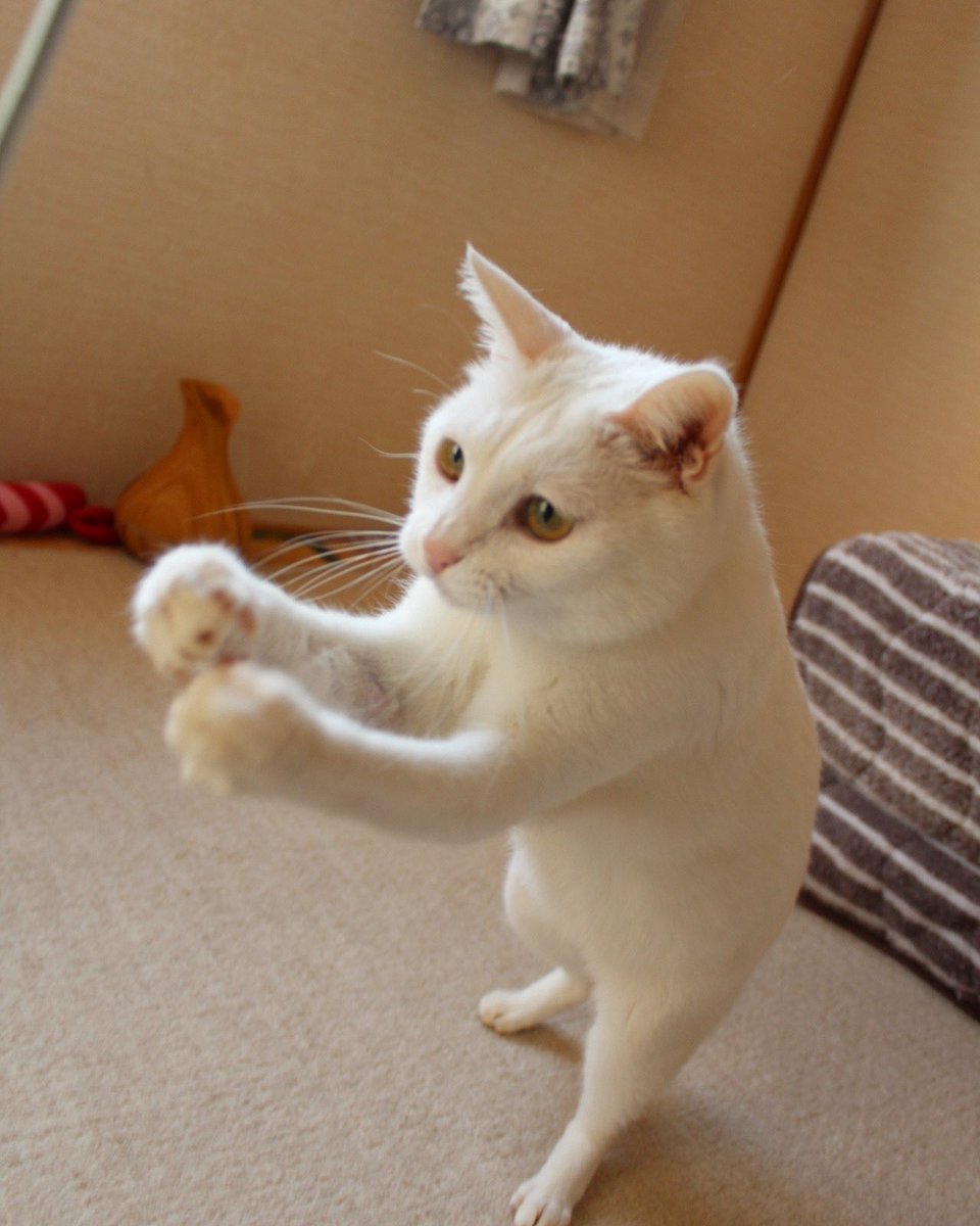 クッと締まる感じ