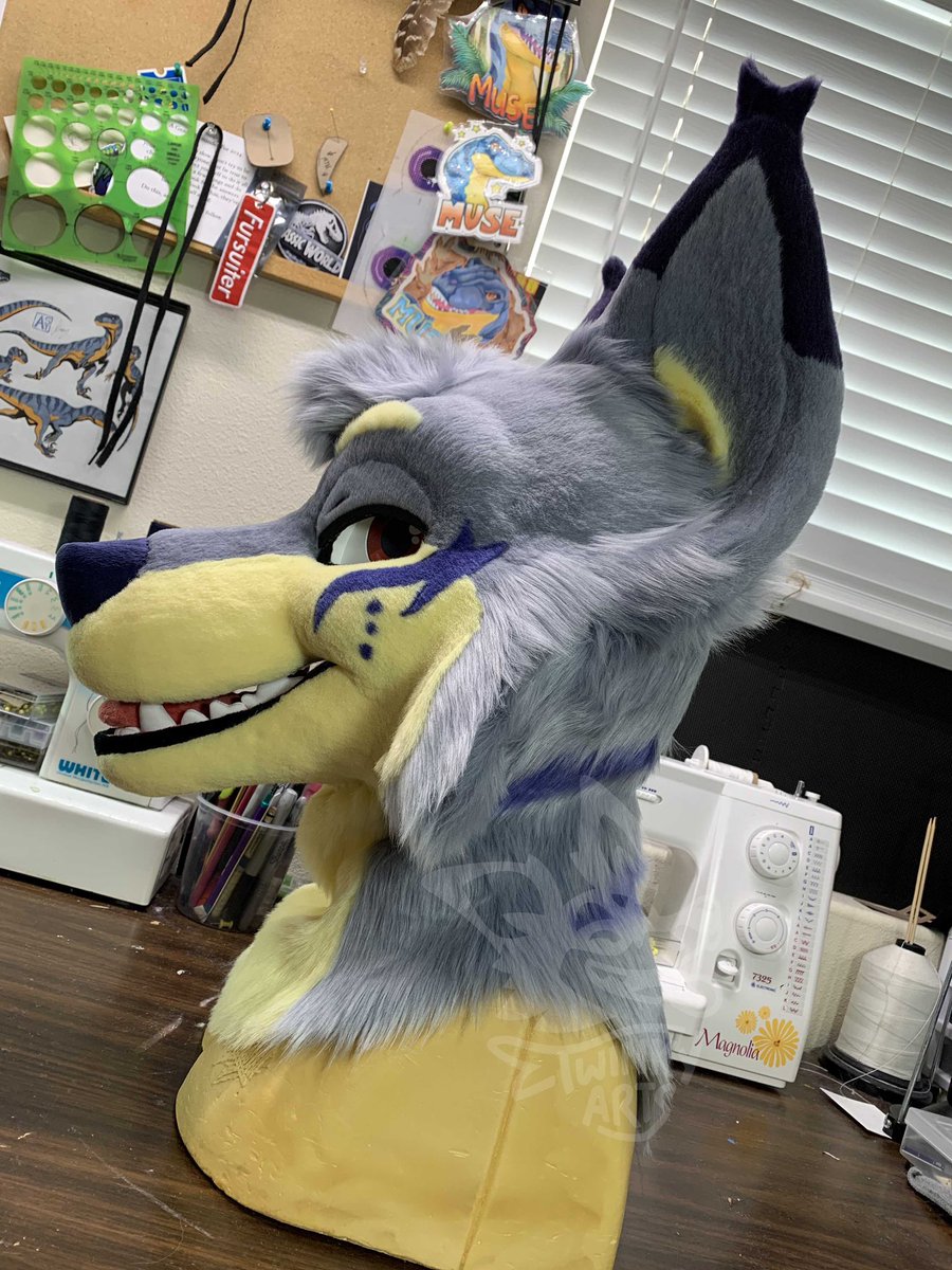 Such a handsome fox❤️