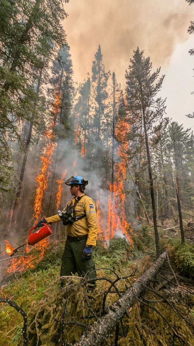 ** BUHL WILDFIRE UPDATE – JULY 30, 2025 – 12 pm CT ** 
For detailed daily updates from Parks Canada and the Saskatchewan Public Safety Agency on the Buhl wildfire, please see the Prince Albert National Park website: parks.canada.ca/panp-fire