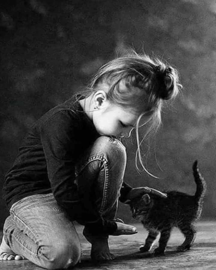 للصداقة يوم 
اين هو الصديق ؟!!

#اليوم_العالمي_للصداقه