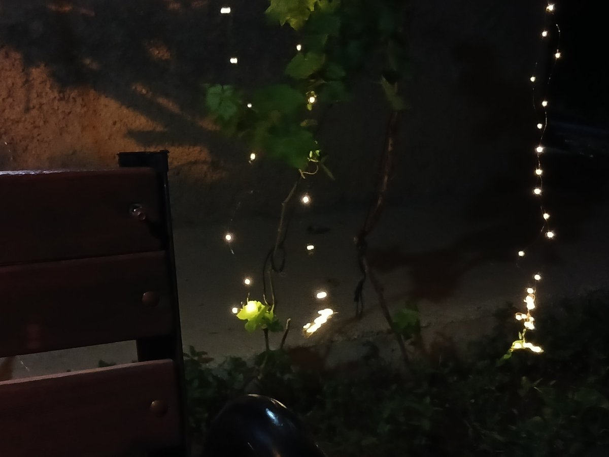 Bazı sükunetler rahmetidir Rabbim'in