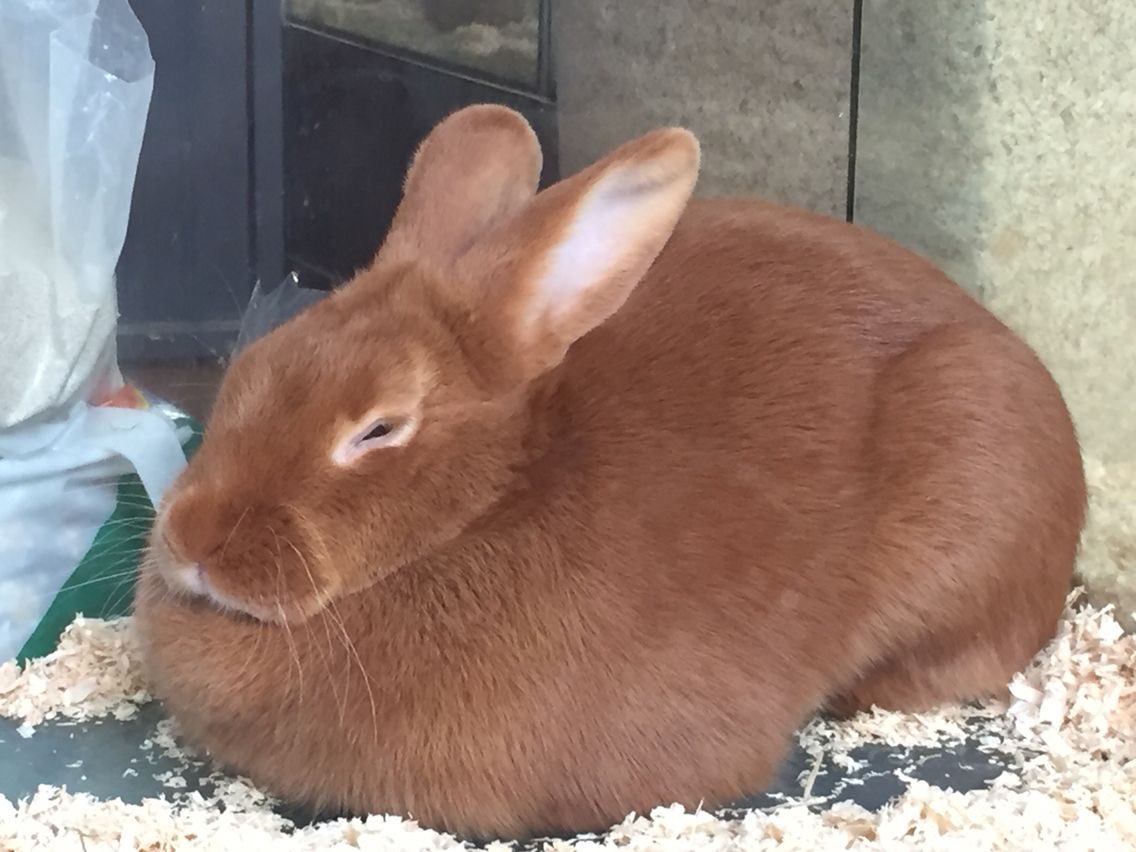 I don’t want to be unkind to myself anymore