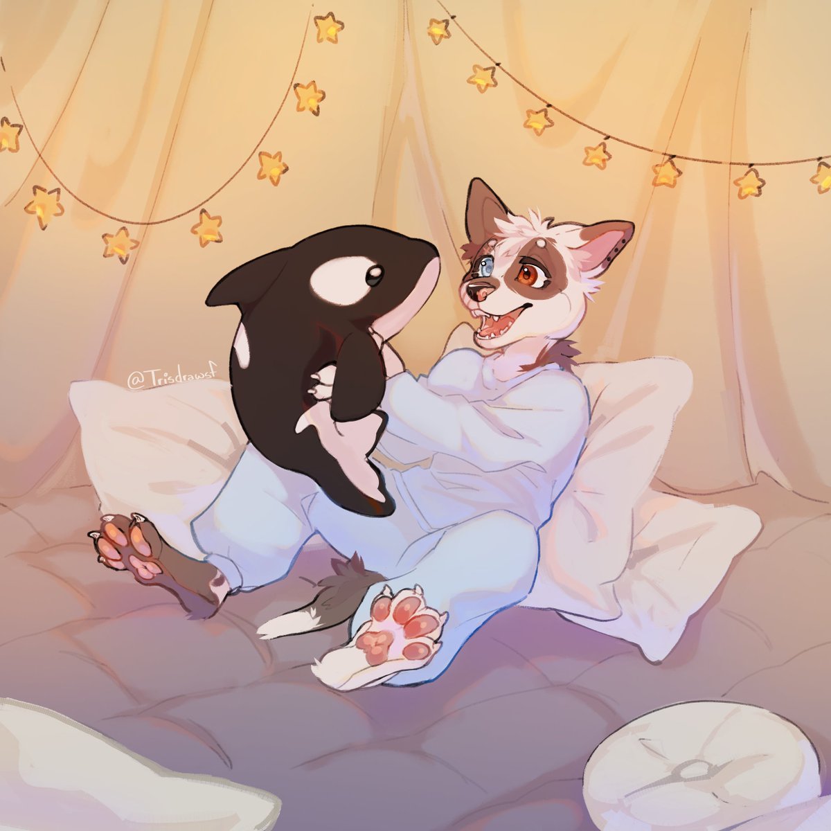 Magician Fennec tweet media