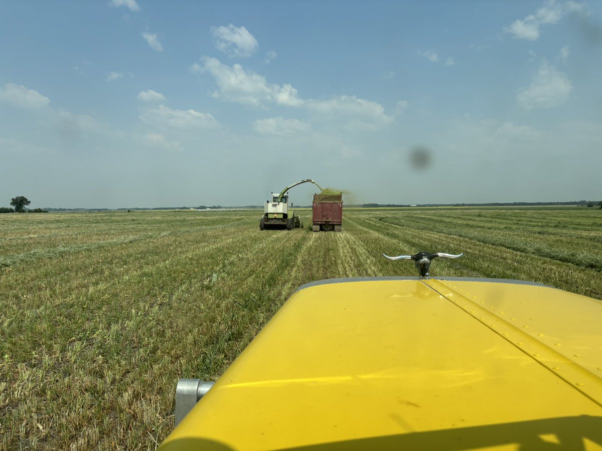 Chopping full season cover blend with <a href="/kingbradh/">Brad Hockridge</a> and his crew