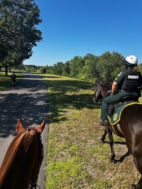 OrangeCoSheriff's tweet image. Today, OCSO’s Mounted Unit conducted extra patrols on the Little Econ Greenway Trail.
Our mounted deputies were out on horseback to help keep all runners, walkers, and cyclists safe while you enjoy your time outdoors.👮‍♂️🐎

#TrailSafety #MountedUnit #OCSO