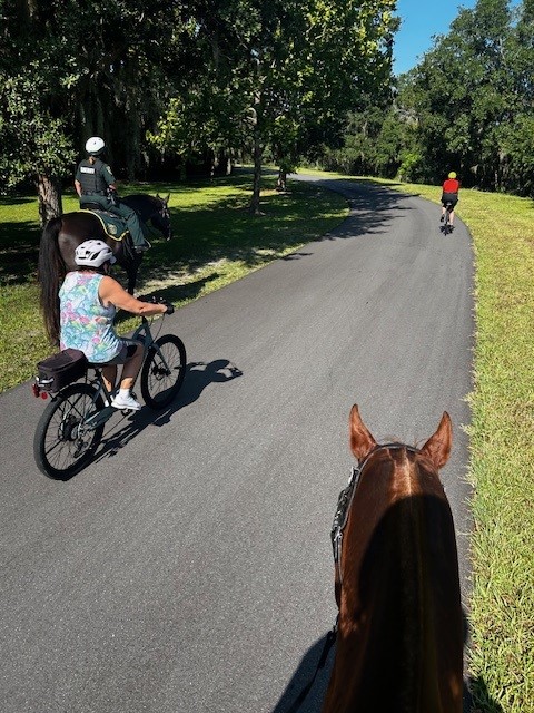 OrangeCoSheriff's tweet image. Today, OCSO’s Mounted Unit conducted extra patrols on the Little Econ Greenway Trail.
Our mounted deputies were out on horseback to help keep all runners, walkers, and cyclists safe while you enjoy your time outdoors.👮‍♂️🐎

#TrailSafety #MountedUnit #OCSO