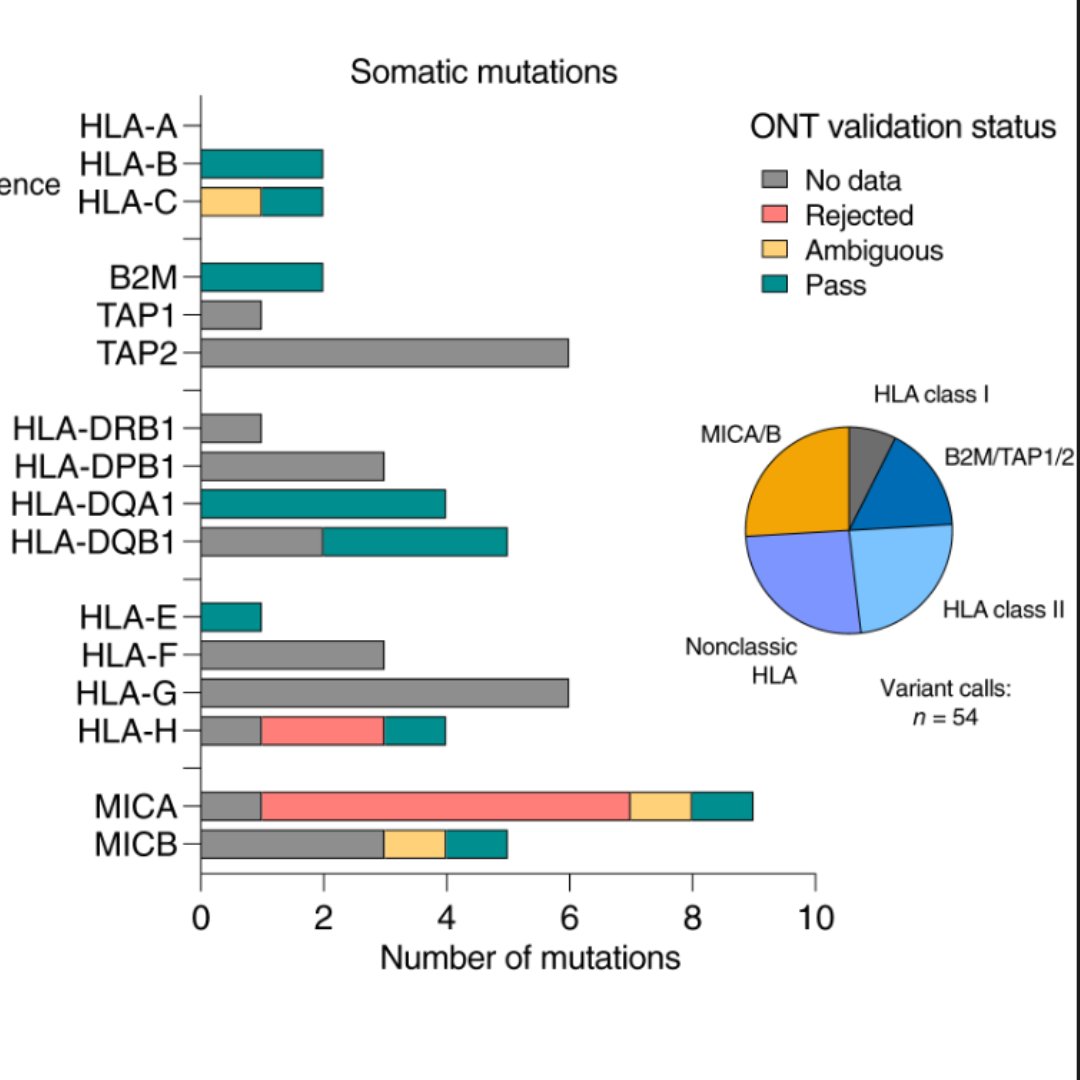 Somatic Mutations in HLA Class Genes and Antigen-Presenting Molecules in Malignant Glioma: brnw.ch/21wUy4W