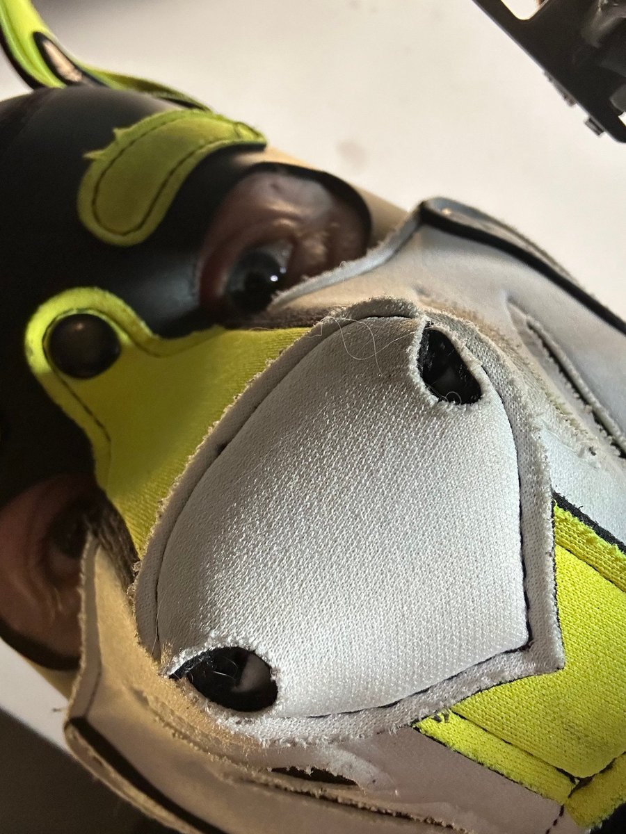 Pup Kaleb 🐾 (@pupkaleb) on Twitter photo I'm sorry, what did you say? I'll see you at <a href="/doggyweekend/">DoggyWeekendUK</a> ... sure, why not ;)
Who are we seeing there :p I'm sorry, what did you say? I'll see you at <a href="/doggyweekend/">DoggyWeekendUK</a> ... sure, why not ;)
Who are we seeing there :p