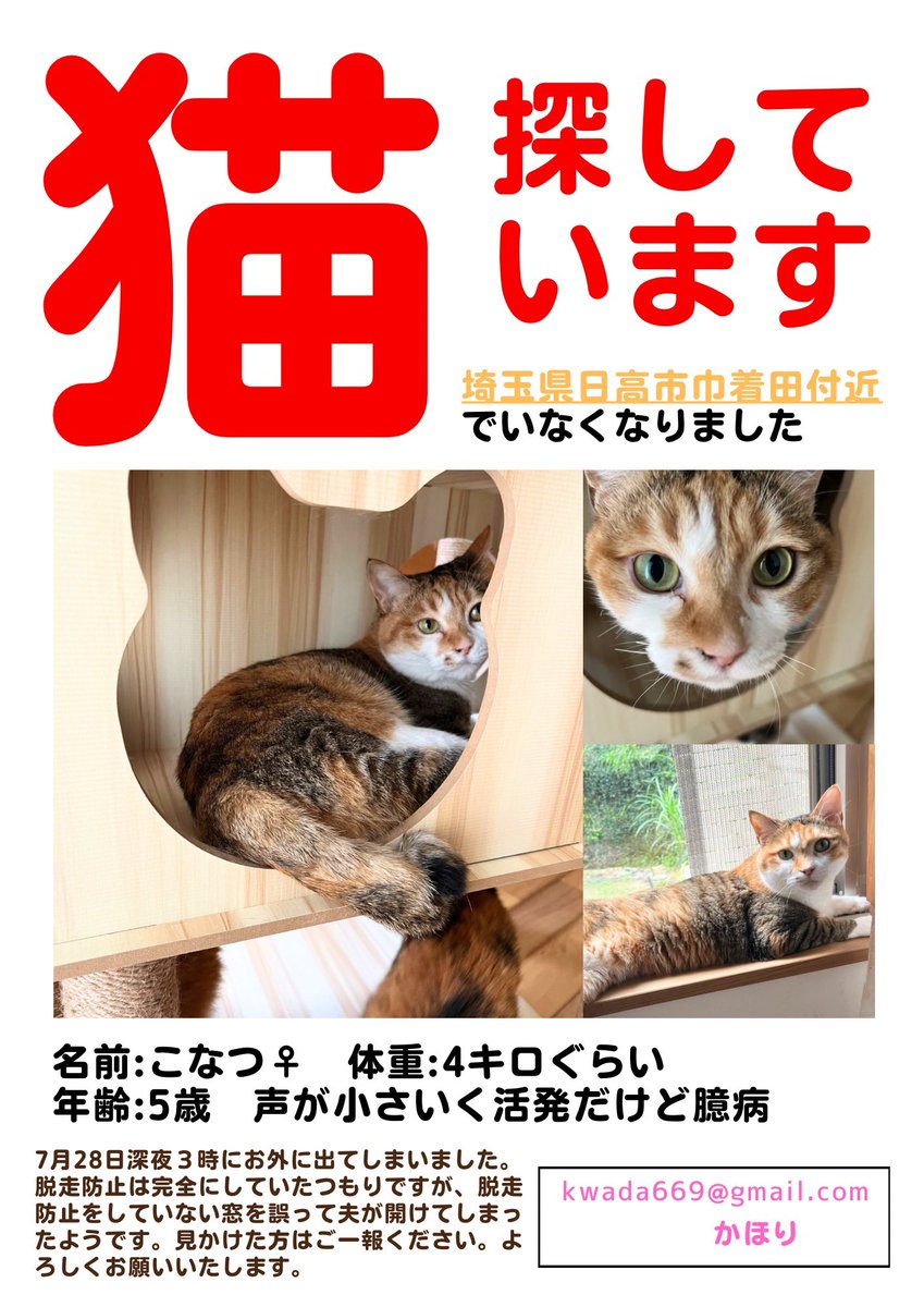 (ΦωΦ)双子のにゃんにゃん♥猫♥里親様募集♥ズタボロにゃん　猫 ΦωΦ)双子のにゃんにゃん♥猫♥里親様募集♥ズタボロにゃん 猫