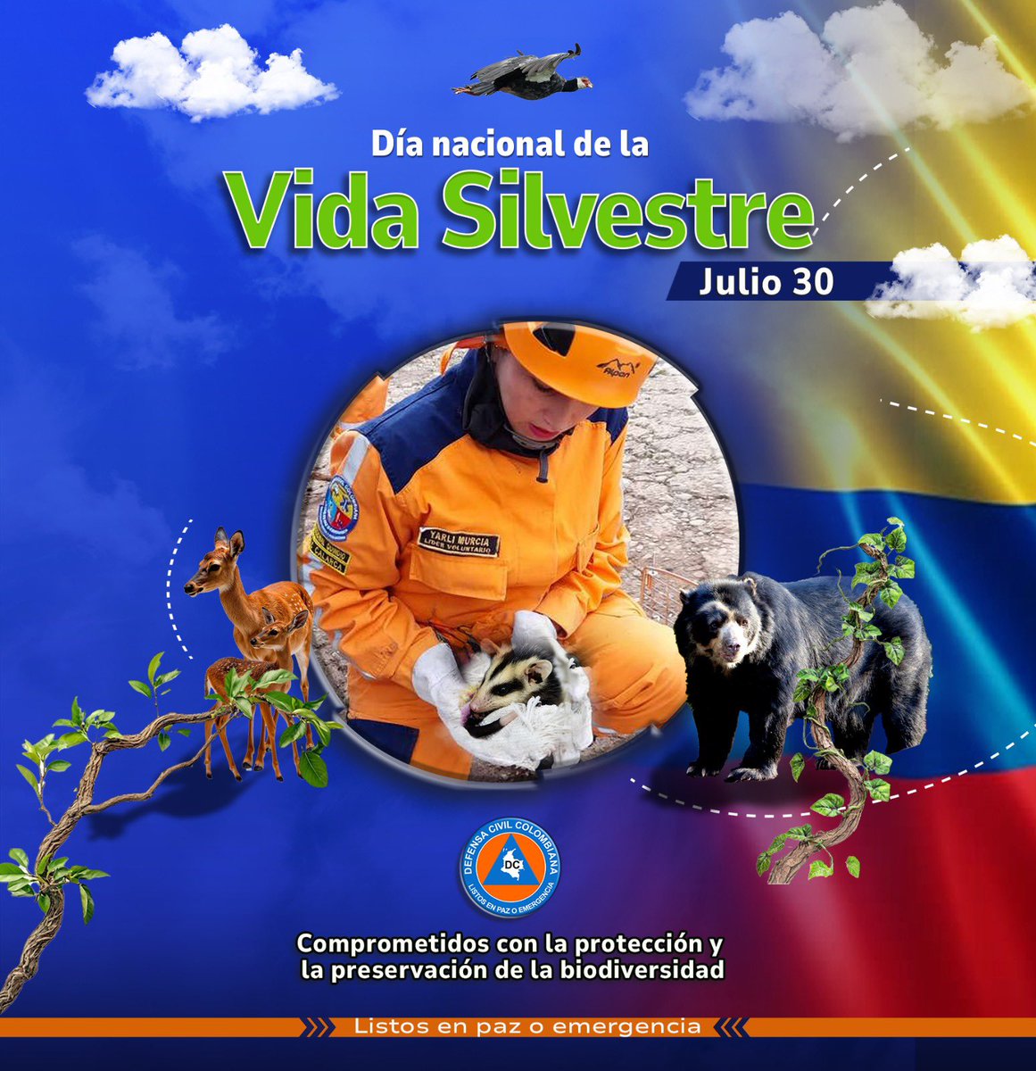🔥🌿 Hoy, en el Día de la Vida Silvestre, recordamos que proteger la naturaleza es urgente, más aún en temporada de incendios forestales.
Cada llama arrasa vida. ¡Sé parte de la prevención!

#VidaSilvestre #NoMásIncendios #DefensaCivilColombiana