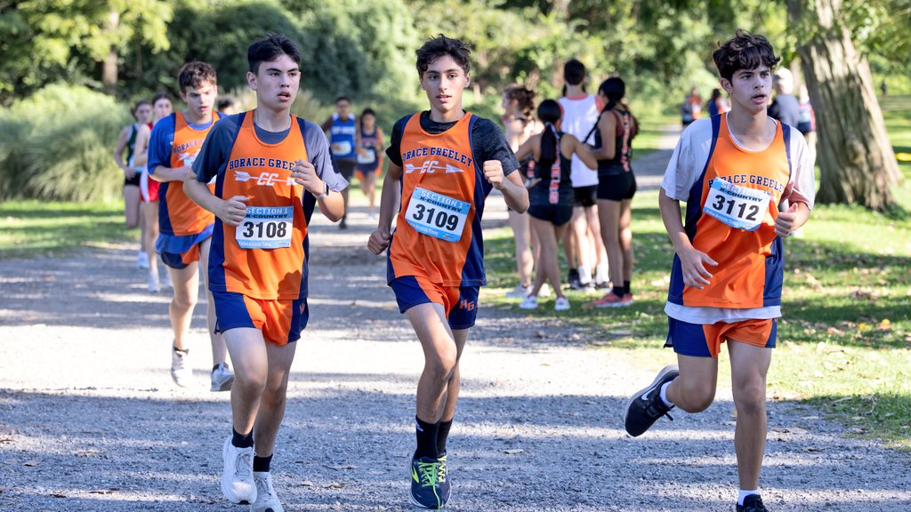 Are you RUNNING to register for the Fall 2025 sports season? Registration for Greeley athletes opened today. Registration for Bell and Seven Bridges athletes will open on Aug. 7. Get ready! 
Click here for more information: students.arbitersports.com/organizations/… 
#GoGreeley #WeAreChappaqua