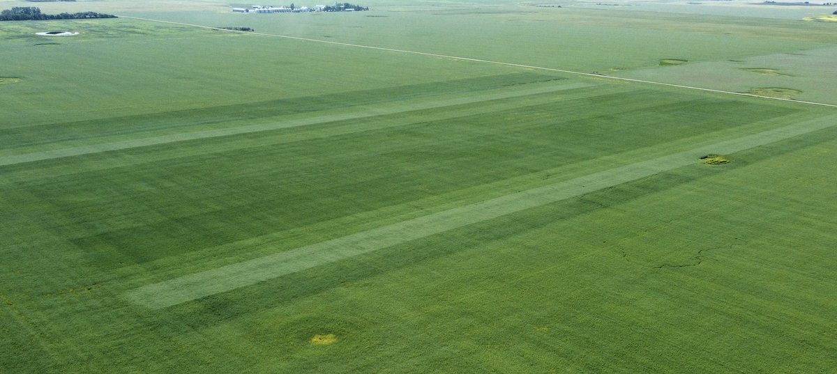 GroWest Ag Ventures Ltd. tweet media