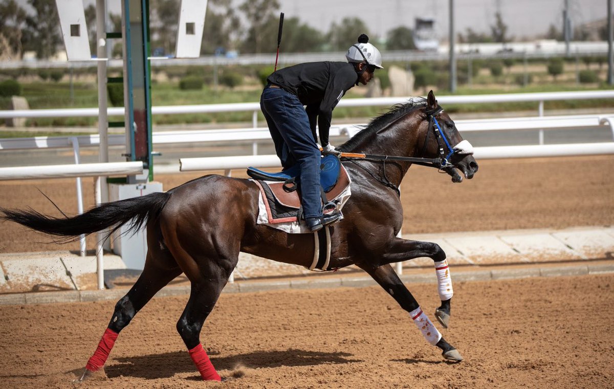 الجواد فال خـير اثناء التدريبات الصباحية على ارضية عاروس المصيّف، مُعلن جهوزيته لخوض المنافسة في شوط التحضيري لديربي الطائف🔥🫰🏻.