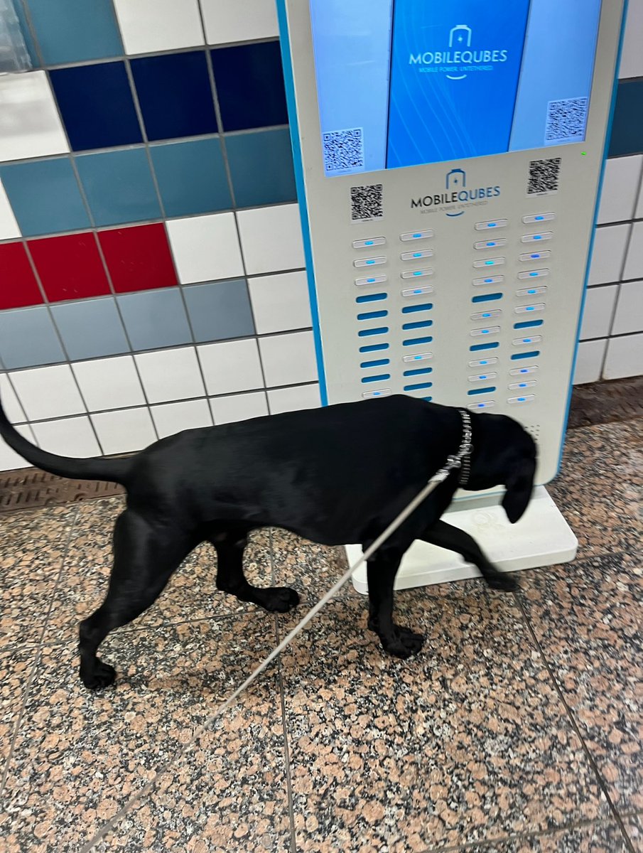 CPD_Transit (@cpdtransit) on Twitter photo Canine Officers on patrol in the Central Business District at the Roosevelt Red Line station. <a href="/CPD_BCT/">CPDCounterterrorism</a> <a href="/Chicago_Police/">Chicago Police</a> Canine Officers on patrol in the Central Business District at the Roosevelt Red Line station. <a href="/CPD_BCT/">CPDCounterterrorism</a> <a href="/Chicago_Police/">Chicago Police</a>