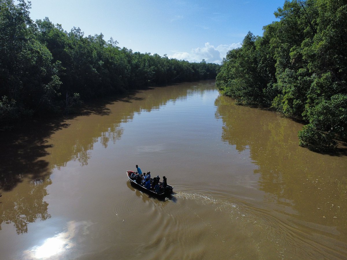 Me parece increíble que el 90% de los Sucrenses y Venezolanos desconozcan del Parque Nacional #Turuepano. Debemos cada uno de nosotros promover más los potenciales de cada estado y sentirnos orgullosos de ser de acá.

(Por favor ya no mezclen este tweet con política, gracias 🙏🏻)