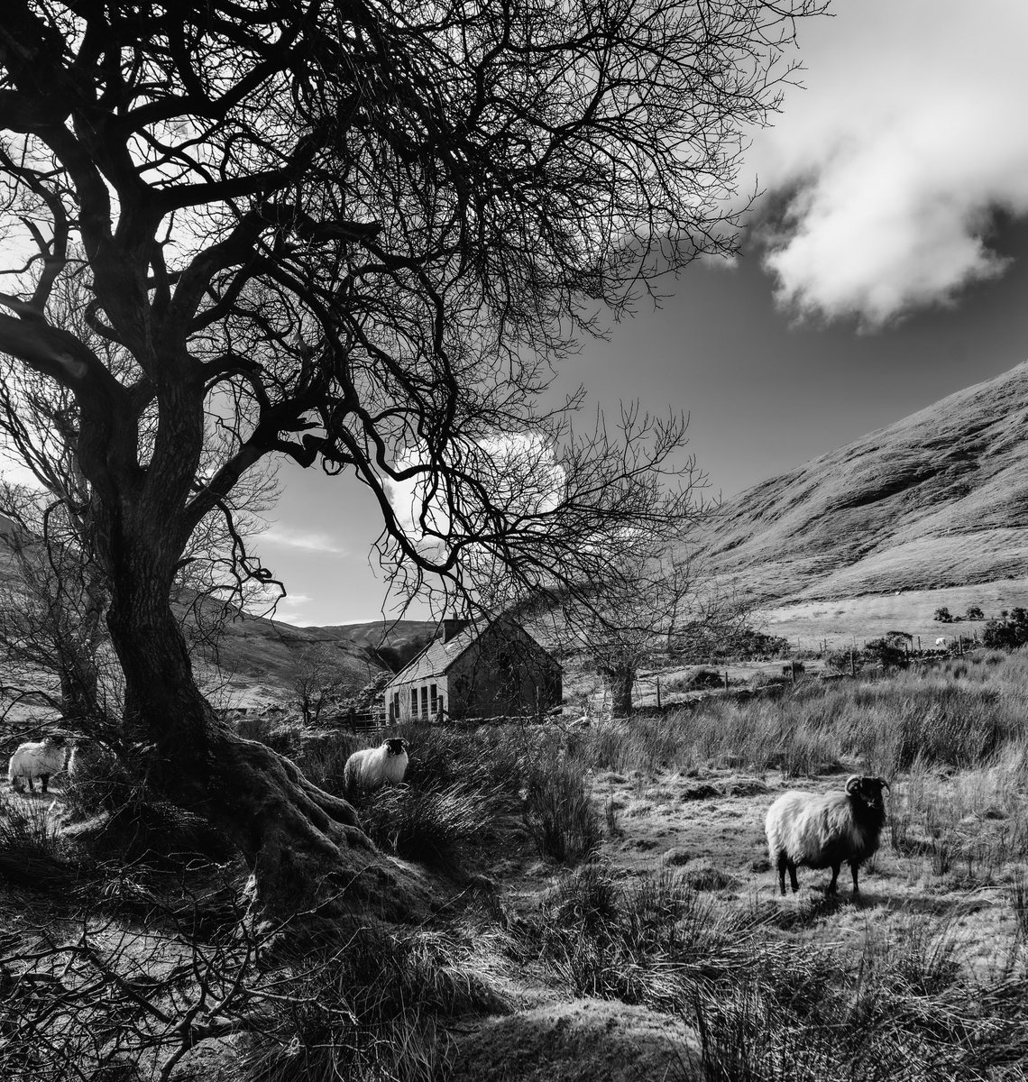 Elaine Farrell Photography tweet media