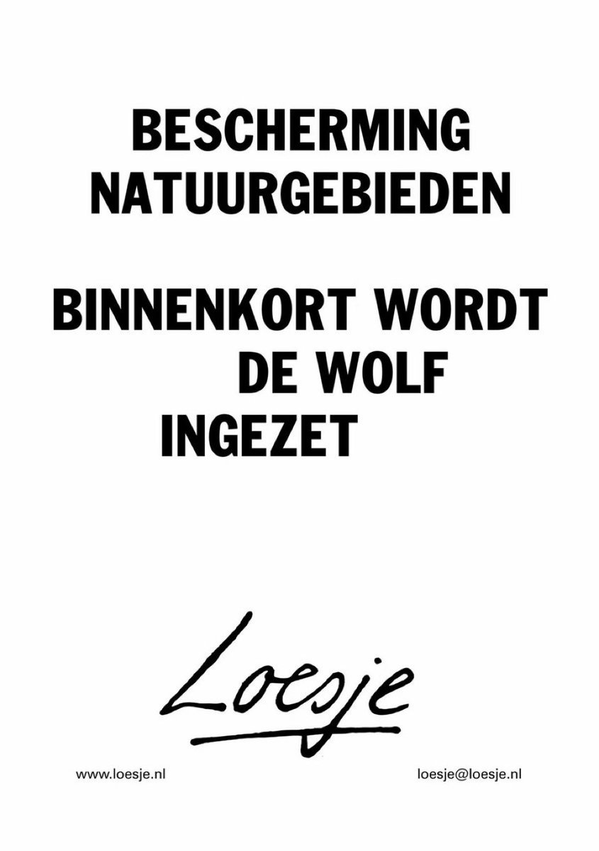 Cor10792734's tweet photo. Tjeesus, wat een achterlijk gelul weer bij #WNL over de wolf, die misschien een kind heeft gebeten.. die VVD Knol moet echt achter de garaniums.. Ben bril kletst nog stommer pfff...en elkaar maar de lief af steken, de ene nog maffer dan de ander.. #goedenavond
#Bram #reddewolf https://t.co/DZXOj9xZiF