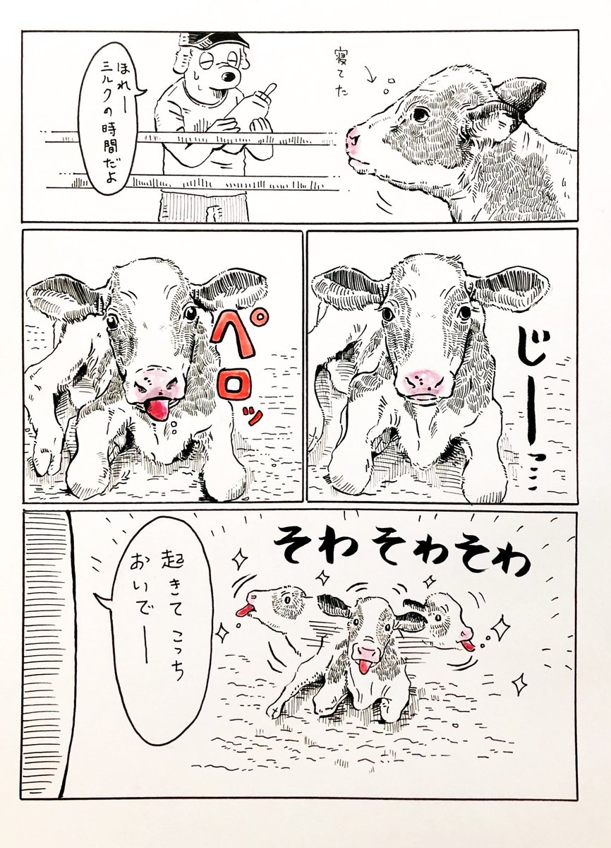 👅

暑さで脳が煮えてる中、子牛の可愛さが染みる…