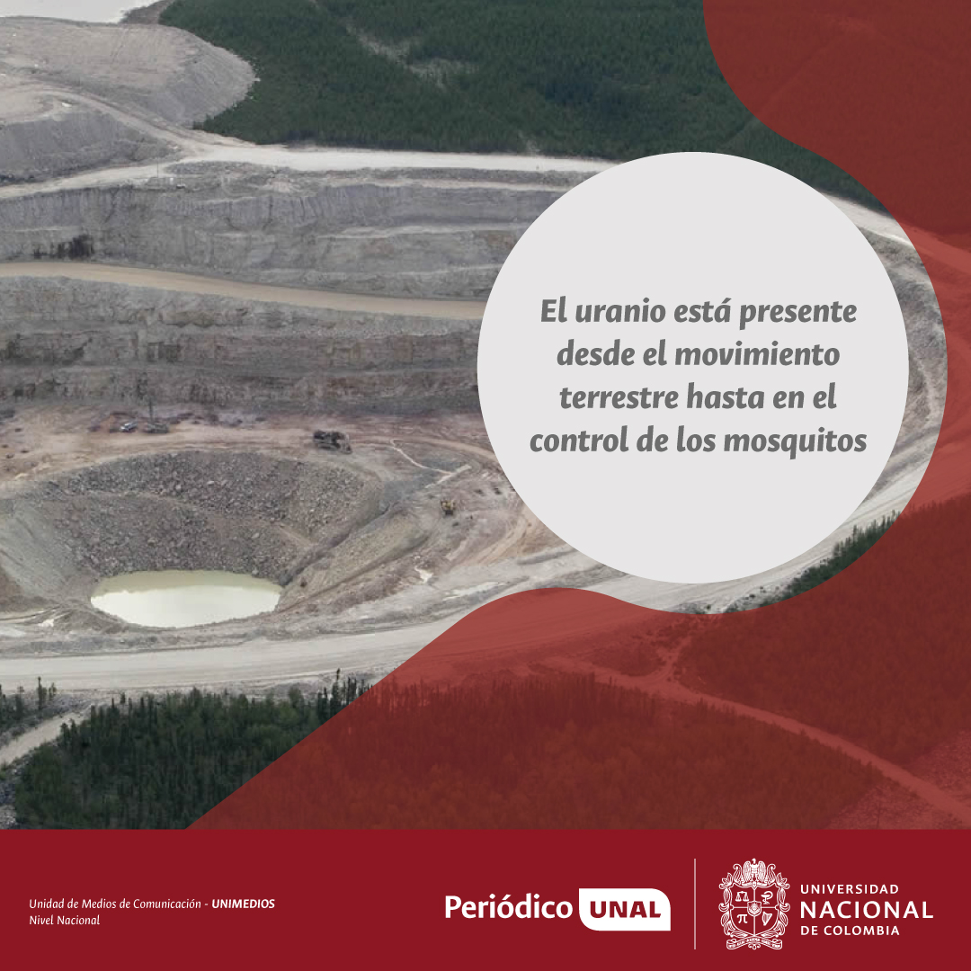 #PeriodicoUNAL | Aunque el uranio quedó marcado por su uso en la Segunda Guerra Mundial, este metal tiene un potencial poco explorado: desde controlar mosquitos transmisores de enfermedades, hasta generar energía confiable y menos contaminante. 

ow.ly/XAUB50WxF7T