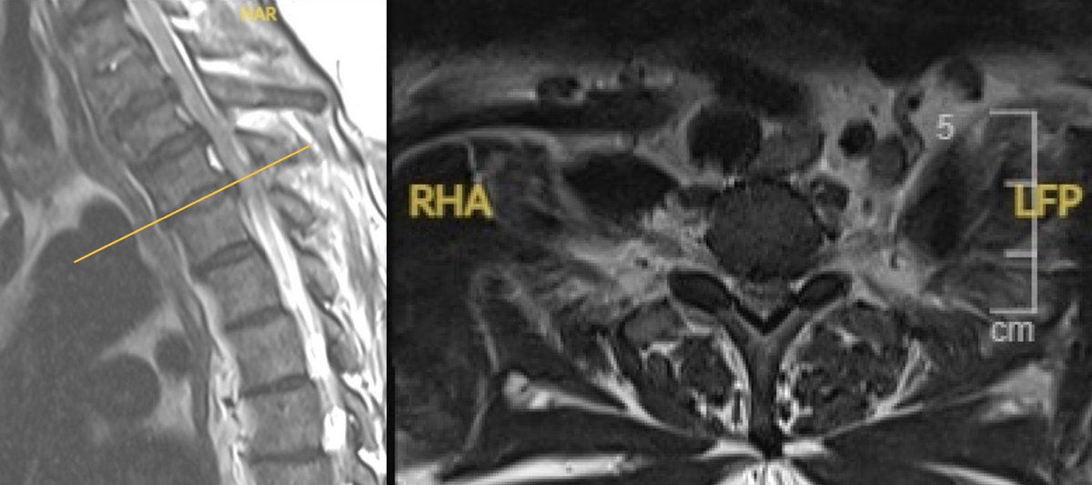HUSSAM JABRI د.حسام جبري tweet media