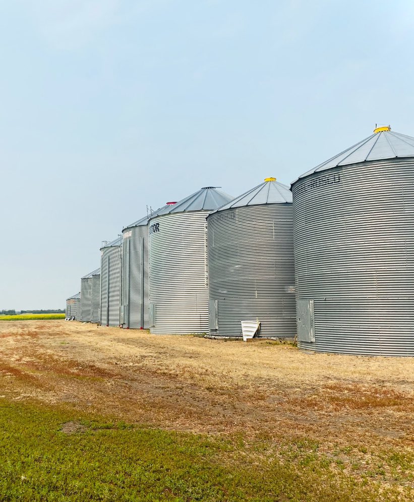 Megan Evans (@hoo_is_the_owl) on Twitter photo Keep your Bin Yards Clean with Insight Liquid SC ® 🔥
Ultra Fast Action on Grass & Broadleaf Weeds. Contact your local retail or Gowan Rep today to learn more about Insight Liquid SC ® #fastestburndown
<a href="/gowancanada/">Gowan Canada</a> Keep your Bin Yards Clean with Insight Liquid SC ® 🔥
Ultra Fast Action on Grass & Broadleaf Weeds. Contact your local retail or Gowan Rep today to learn more about Insight Liquid SC ® #fastestburndown
<a href="/gowancanada/">Gowan Canada</a>