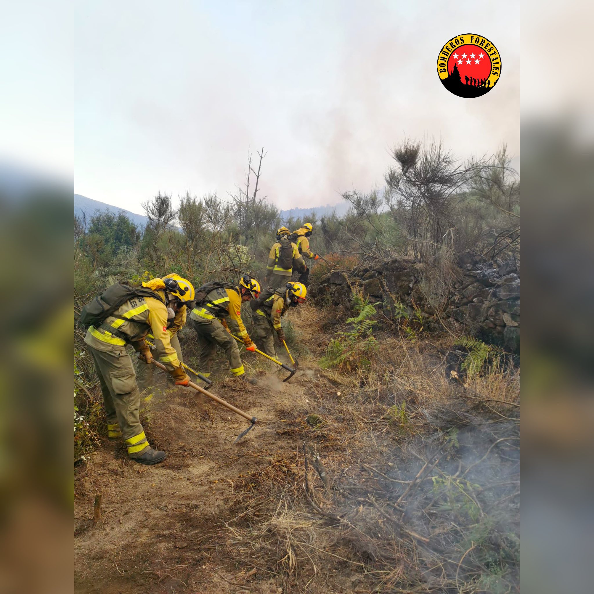 Foto cedida por Bomberos Forestales CAM