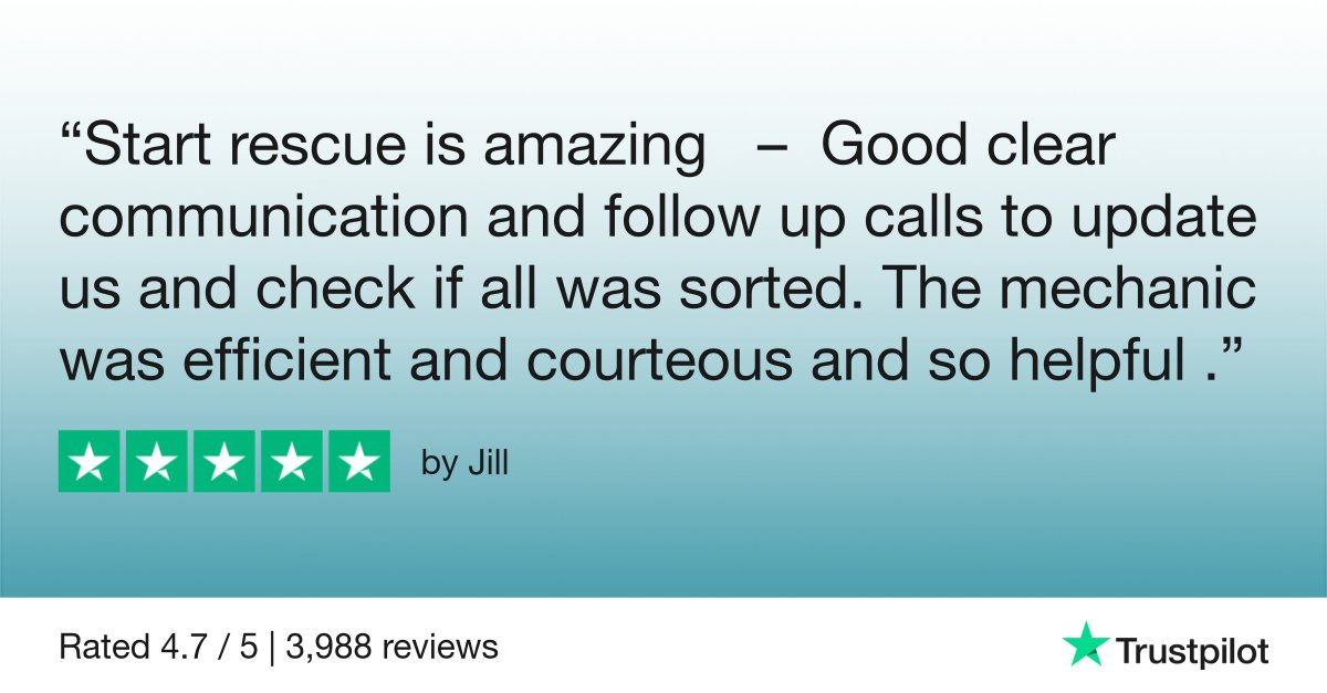 Reviews don't get much better than this! 🌟 

Thank you, Jill 🧡
