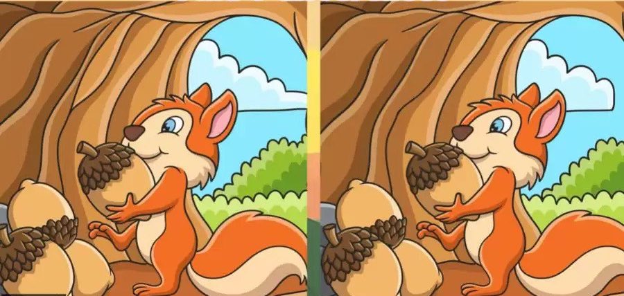 נראתכם 🙌🏻 מצאו את ההבדלים בין התמונות.©️
.
.
.
.
from: fresherslive