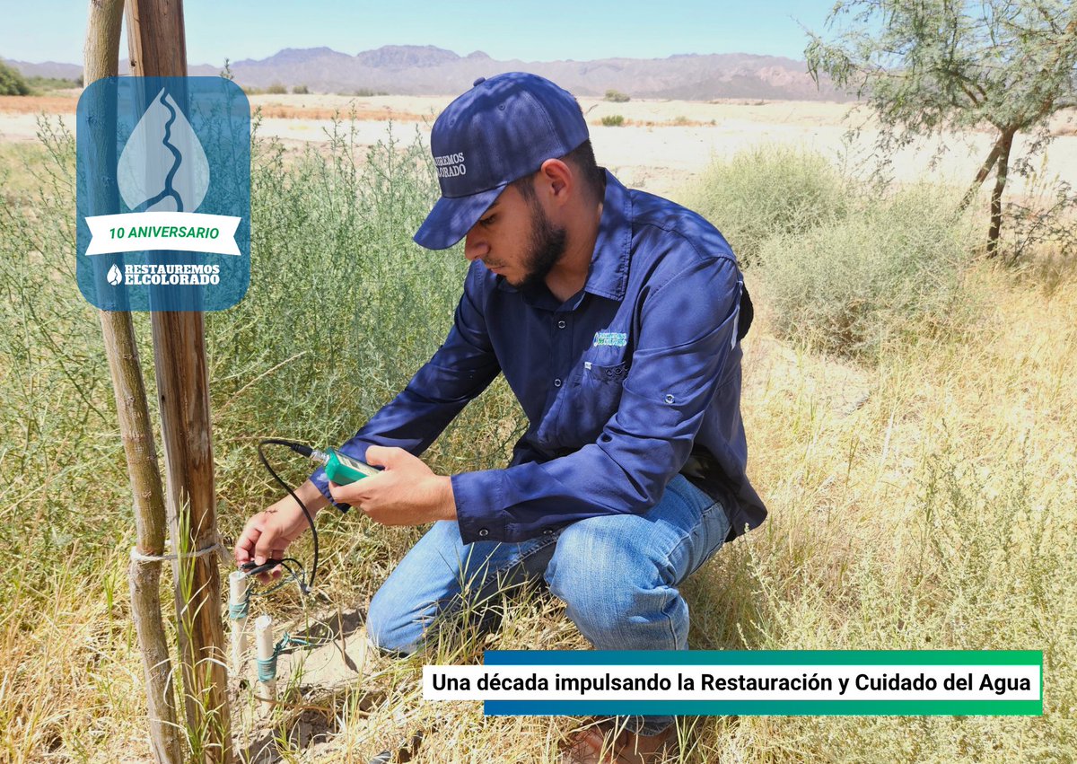 Restauremos El Colorado tweet media