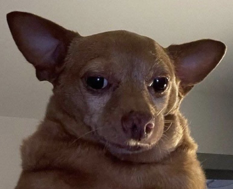 Jonathan MULUMBA (@j_mulumbardc) on Twitter photo 