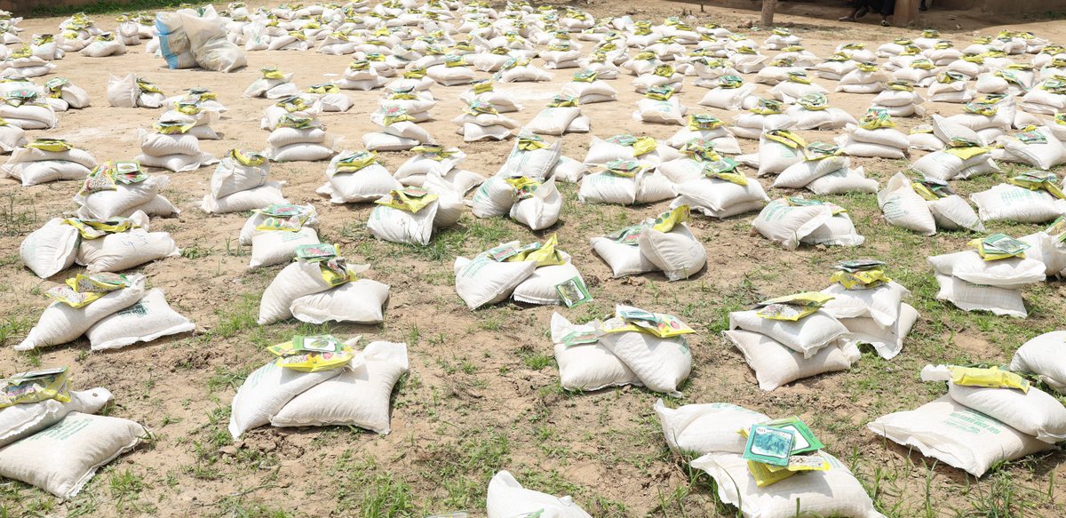 CCFNigeria's tweet image. In Kirchinga community, Madagali Local Government Area (LGA) of #Adamawa State, we have provided agricultural inputs to 428 persons to restore their livelihoods, thanks to the funding support of @NorwayMFA  through @CaritasNorge .