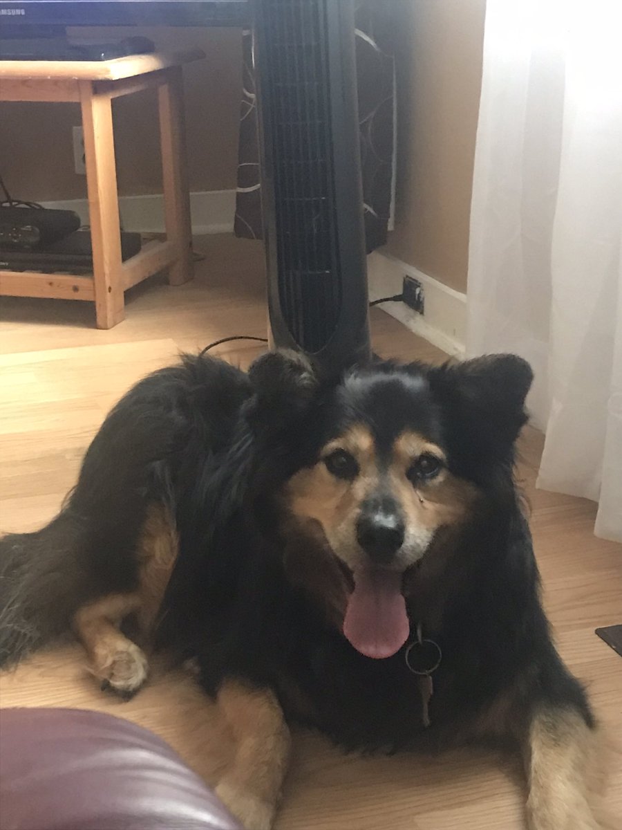 Musky is offering me a 30% discount 😂😂 not a dime ever but if it gets sold to an even semi normal human I might