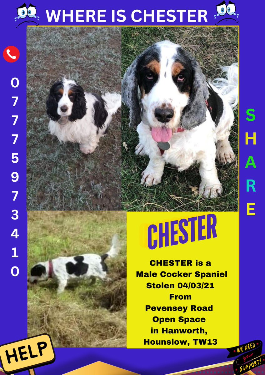 Muddy_paws_crime (@muddypawscrime) on Twitter photo NO WORDS can ever describe the daily heartache Chesters owner goes through not knowing where her precious boy is
CHESTERS FACEB@@K GROUP - STOLEN CHESTER - ALERT DOG - HOUNSLOW TW13
<a href="/MissingPetsGB/">Missing Pets GB</a> <a href="/rosieDoc2/">spaniel alert</a> <a href="/HunnyJax/">Stolen Missing Longtimelost 🐾Where Are They All</a> NO WORDS can ever describe the daily heartache Chesters owner goes through not knowing where her precious boy is
CHESTERS FACEB@@K GROUP - STOLEN CHESTER - ALERT DOG - HOUNSLOW TW13
<a href="/MissingPetsGB/">Missing Pets GB</a> <a href="/rosieDoc2/">spaniel alert</a> <a href="/HunnyJax/">Stolen Missing Longtimelost 🐾Where Are They All</a>