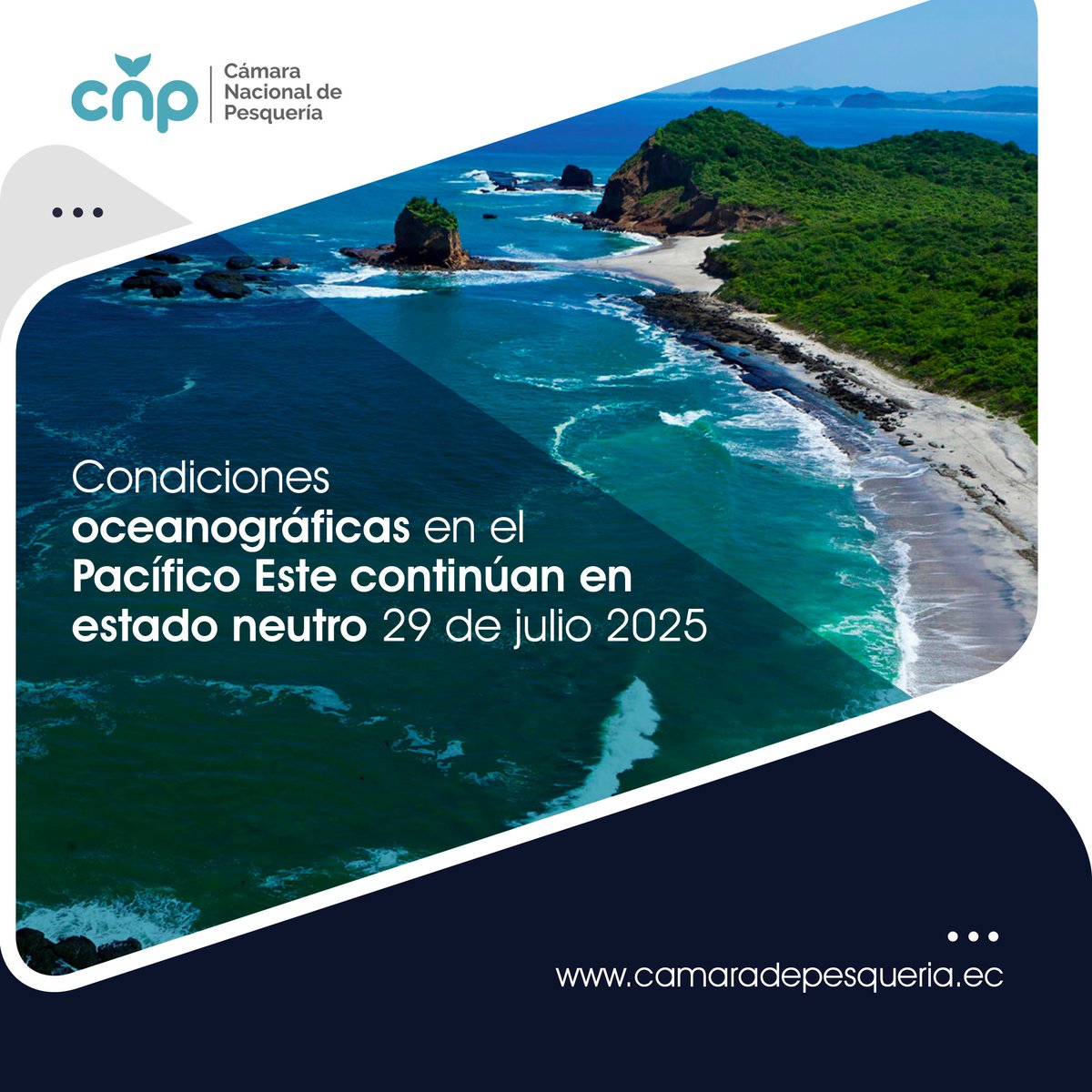 🌊 ¿Qué está pasando en el océano Pacífico?
Las condiciones oceanográficas siguen en estado neutro, pero ¿qué significa eso para la pesca, el clima y la industria atunera?

🔎 Descúbrelo en nuestro último reporte técnico, actualizado al 29 de julio.

Lee el artículo completo