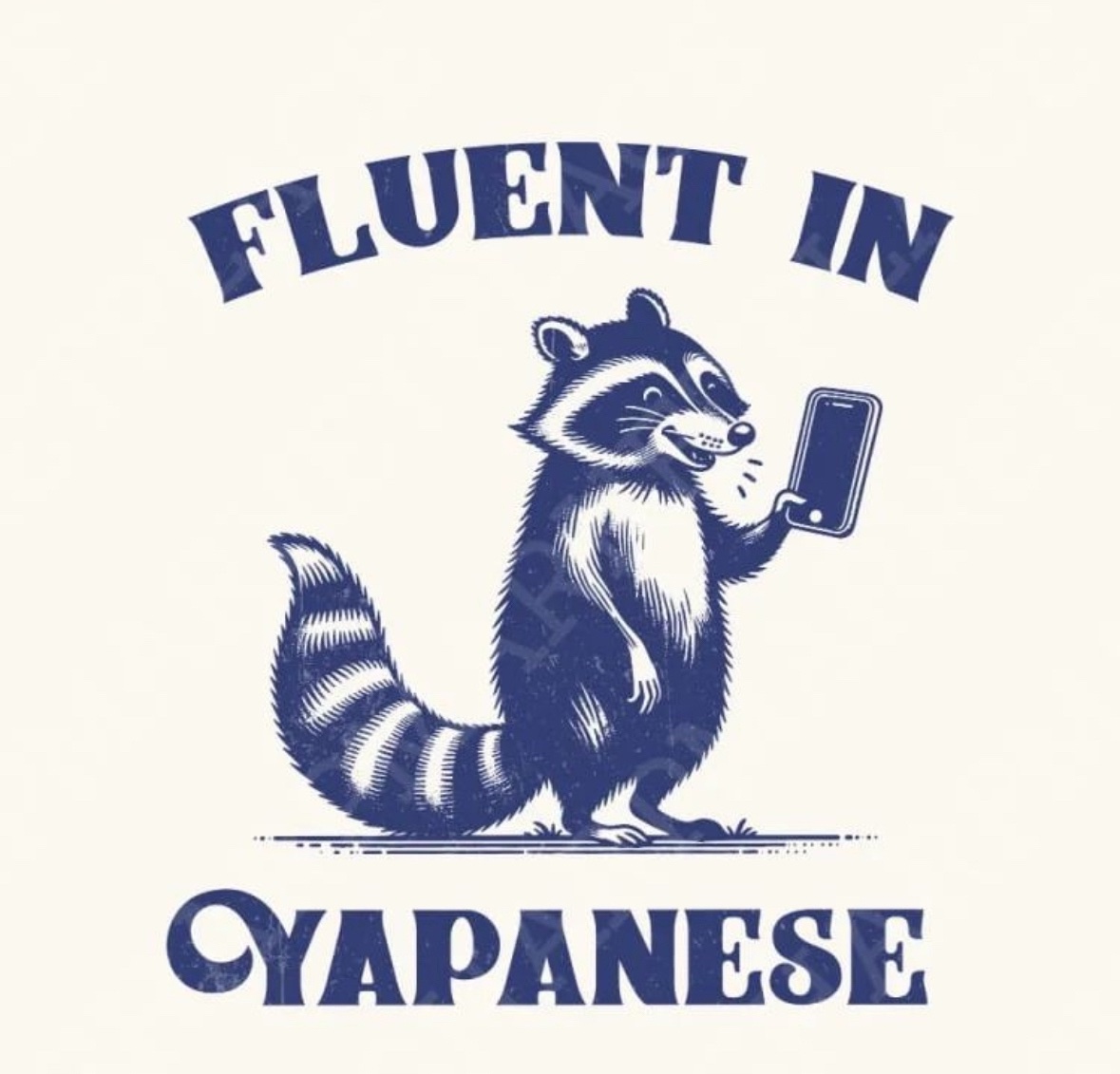 raccoon aesthetic. (@raccoonesthetic) on Twitter photo 