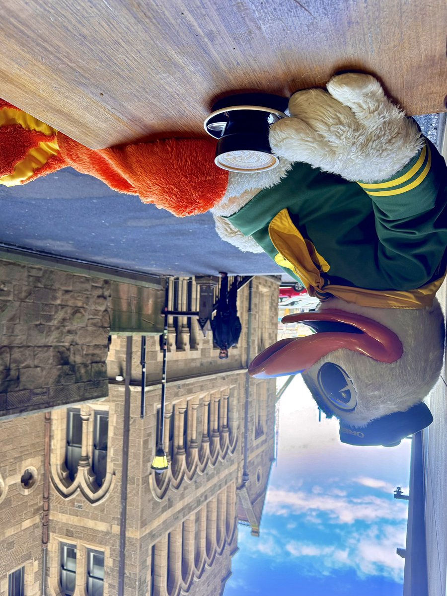 TheOregonDuck's tweet image. ǝןʇʇɐǝs &amp;lt; ǝuɹnoqןǝɯ