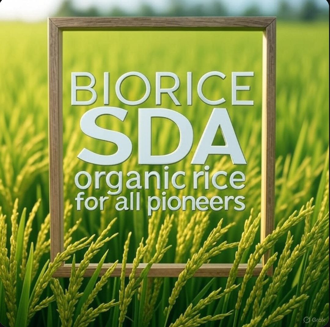 Contribute to a healthier and more sustainable future with BIO RICE.Our solutions meet the criteria for sustainable development,good health,and healthy eating,to your satisfaction.Join our initiative and become part of our community
sidrastart.com/project/c213f4…
t.me/+DojO3tj6fWxiZ…