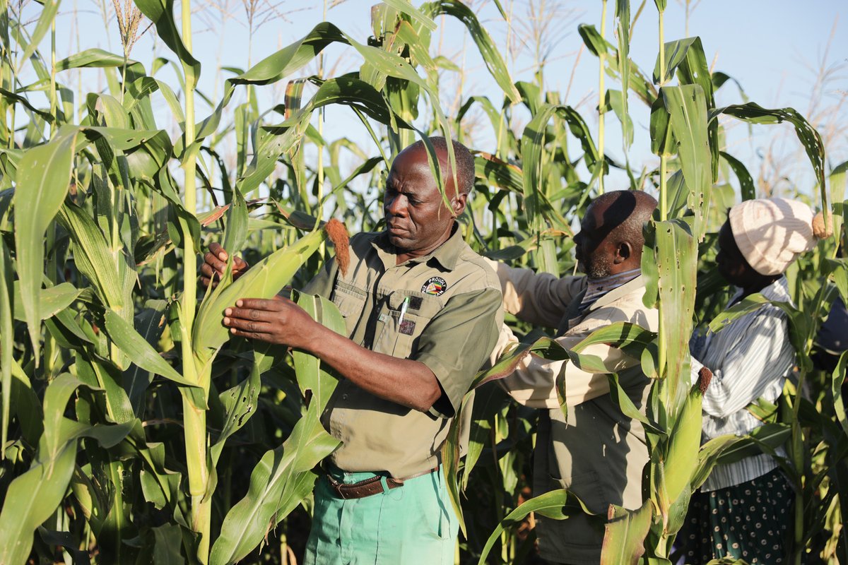 Least Developed Countries emit less than 4% of global emissions—but suffer 69% of deaths from climate-related disasters.

With <a href="/theGCF/">Green Climate Fund</a>, <a href="/UNDP/">UN Development</a> helps LDCs craft and deliver National Adaptation Plans to protect lives and livelihoods.

Learn more: climatepromise.undp.org/news-and-stori…

#LDCsDay