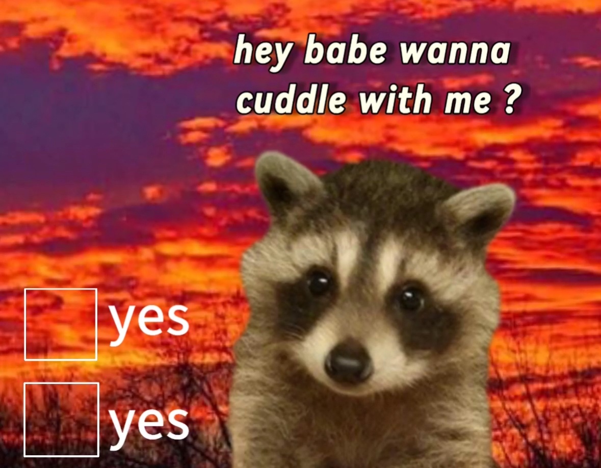 raccoon aesthetic. (@raccoonesthetic) on Twitter photo 