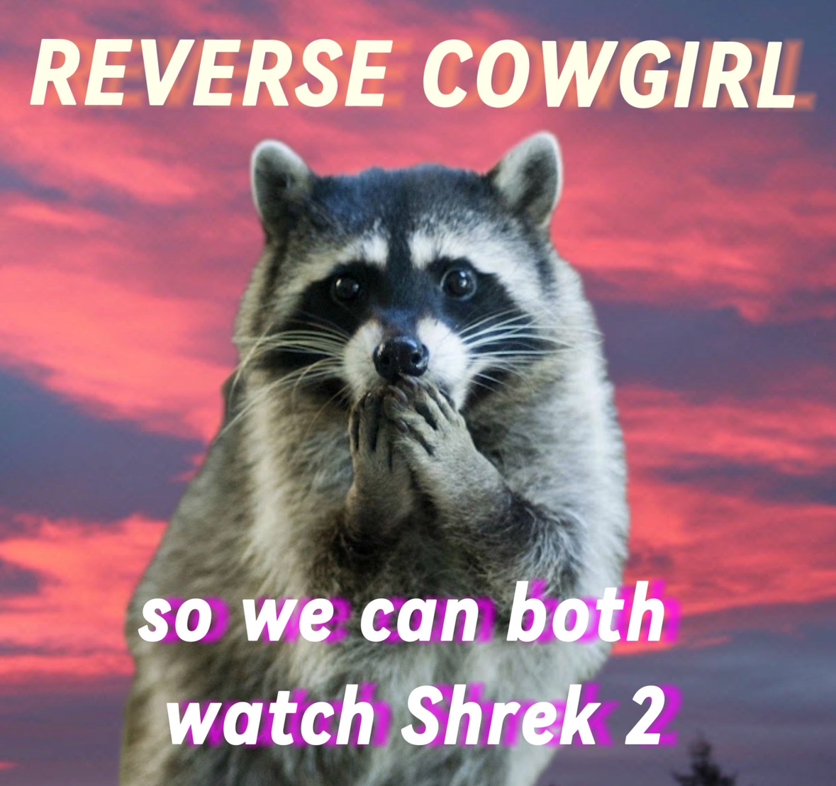 raccoon aesthetic. (@raccoonesthetic) on Twitter photo 