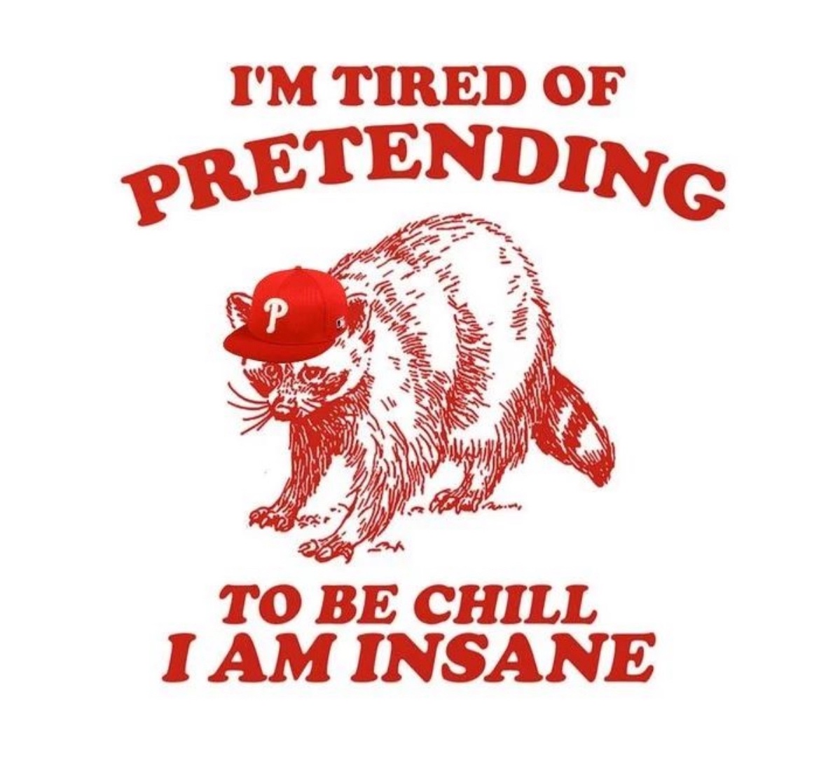 raccoon aesthetic. (@raccoonesthetic) on Twitter photo 