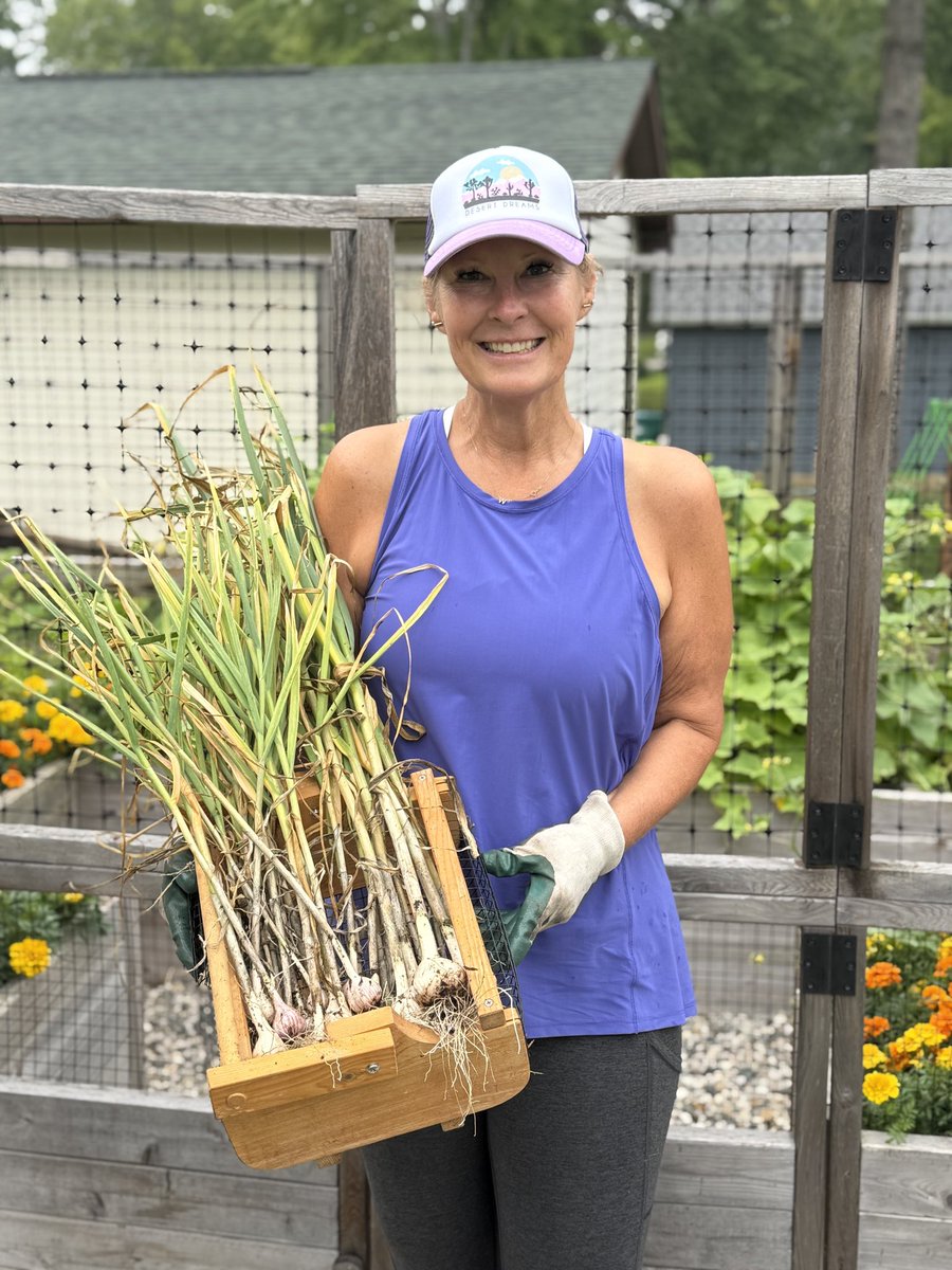 First time growing &amp; harvesting garlic. We bought the starter kit from Keenes. I did not fertilize as much as I should have (will do better with that next rime) but still pleased with the results. We have it tied up and drying. <a href="/ChrisWigent/">Chris Wigent</a>