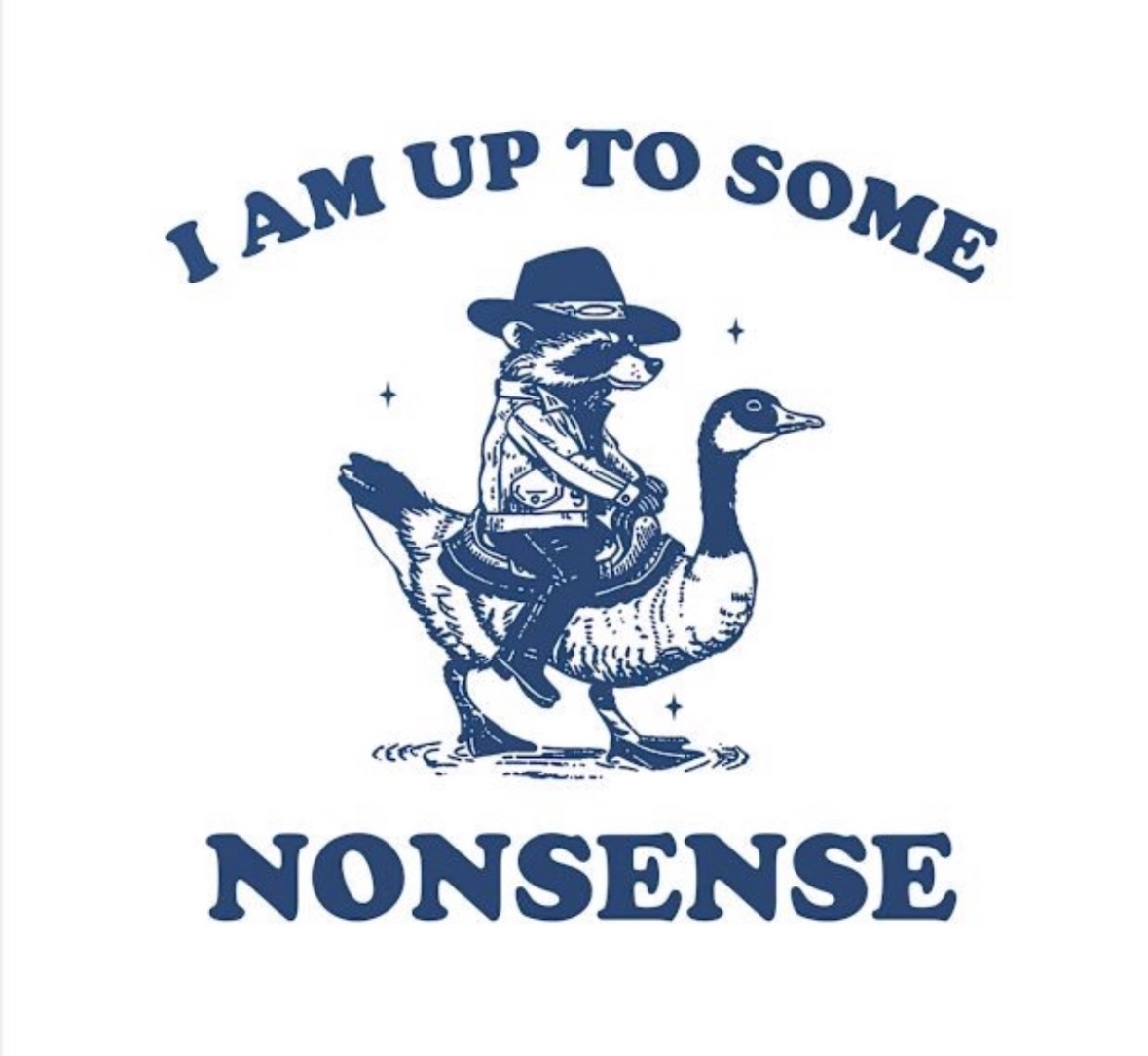 raccoon aesthetic. (@raccoonesthetic) on Twitter photo 