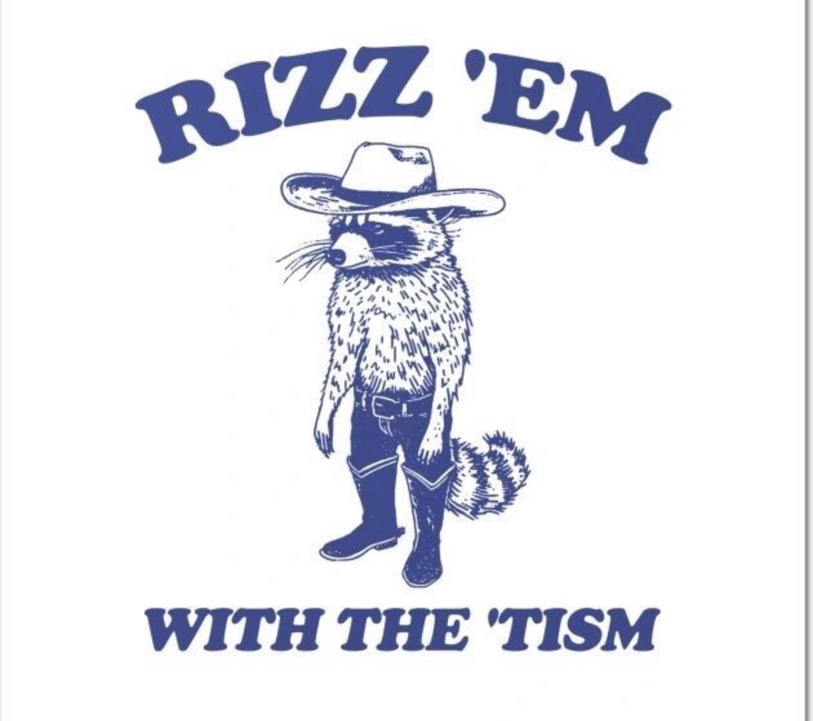 raccoon aesthetic. (@raccoonesthetic) on Twitter photo 