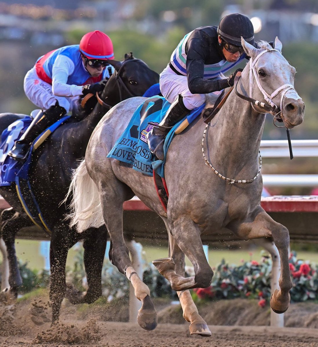 Stakes Winners 🏆 (@stakeswinners) on Twitter photo 🏆 LOVESICK BLUES
(Geovanni Franco - Librado Barocio)
BING CROSBY STAKES 2025 ($400,000) Del Mar <a href="/DelMarRacing/">Del Mar Racetrack</a> <a href="/franco_geo/">Geovanni Franco</a> <a href="/LibradoBarocio/">LB</a> <a href="/CTBACalbred/">CTBACalbred</a> <a href="/BreedersCup/">Breeders' Cup</a>
📷 Eclipse Sportswire 🏆 LOVESICK BLUES
(Geovanni Franco - Librado Barocio)
BING CROSBY STAKES 2025 ($400,000) Del Mar <a href="/DelMarRacing/">Del Mar Racetrack</a> <a href="/franco_geo/">Geovanni Franco</a> <a href="/LibradoBarocio/">LB</a> <a href="/CTBACalbred/">CTBACalbred</a> <a href="/BreedersCup/">Breeders' Cup</a>
📷 Eclipse Sportswire