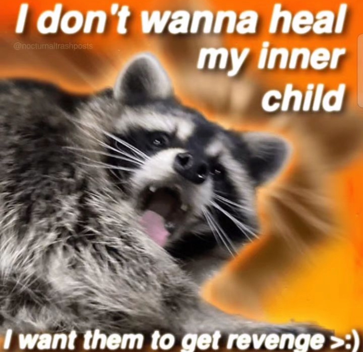 raccoon aesthetic. (@raccoonesthetic) on Twitter photo 